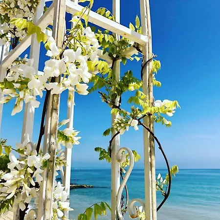 La 4* Золотые Пески